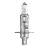 Галогеновая лампа Osram H1 12V 100W P14,5s (62200) - "Модная Тачка" магазин автоэлектроники