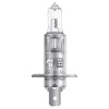 Галогеновая лампа Osram H1 24V 70W P14,5s (64155) - "Модная Тачка" магазин автоэлектроники