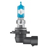 Галогеновые лампы Osram HB3 12V 60W P20d NBR Plus+150% Hard Duopet (9005 NL-HCB) - "Модная Тачка" магазин автоэлектроники