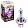 Галогеновая лампа Pulso H4 P43T 12v 60/55w +50% X-treme Vision clear/блистер (LP-41655) - "Модная Тачка" магазин автоэлектроники