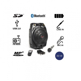 Акустическая система портативная AKAI SS022A-X6