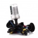 Лампа ксенон Infolight HB4 9006 6000K 35W