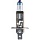 Галогеновые лампы Philips H1 12V 55W P14,5S X-TREME VISION+100% (Set - 2 pcs.) (12258XV-S2(100)) - "Модная Тачка" магазин автоэлектроники